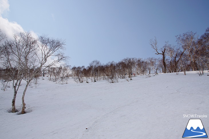 DYNASTAR SKI series Test Ride Days 2017 in ニセコユナイテッド【Day.1】～ニセコグラン・ヒラフ～